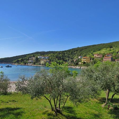 Holiday Home Andrea - Lbn415 By Interhome Labin (Istria) Exterior foto