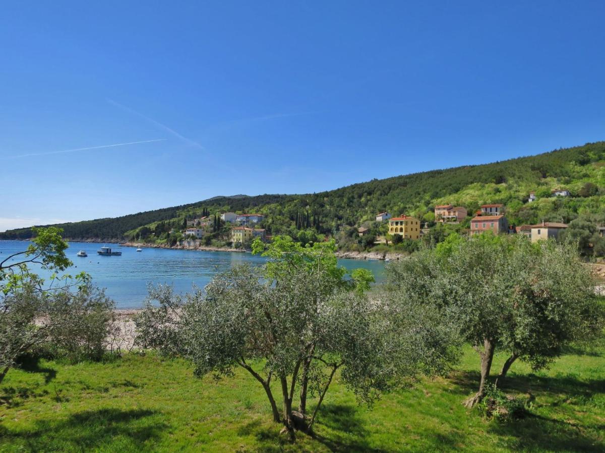 Holiday Home Andrea - Lbn415 By Interhome Labin (Istria) Exterior foto